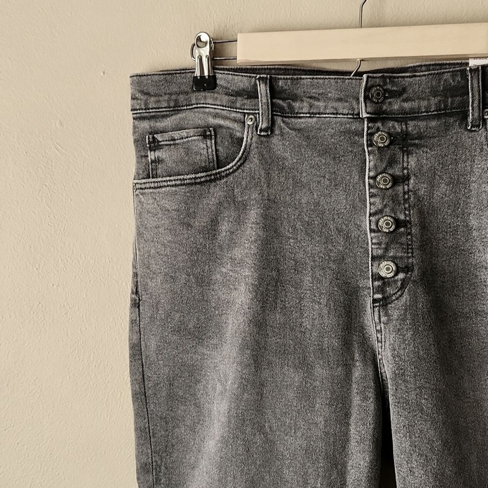 NWT Loft 16/33 Grey High Rise Button Fly Skinny Jeans